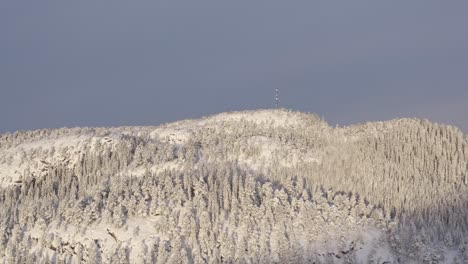 Mountain-With-Coniferous-Forests-Covered-In-Snow-In-Indre-Fosen,-Norway---aerial-drone-shot