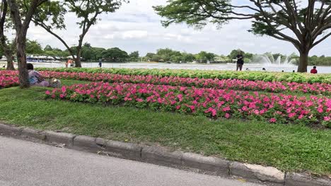 people walking by vibrant flower beds