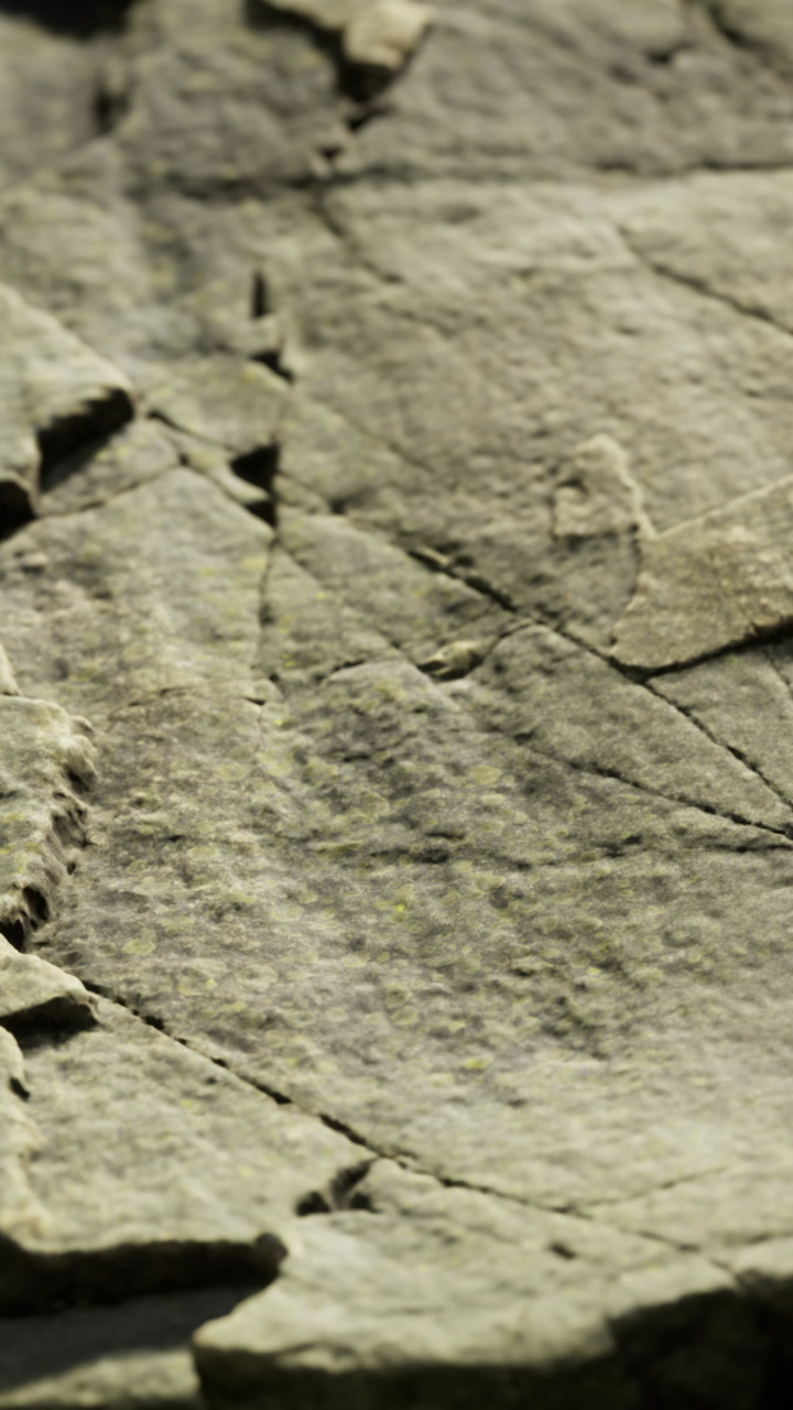 Rock formations showing natural textures and patterns in a landscape setting