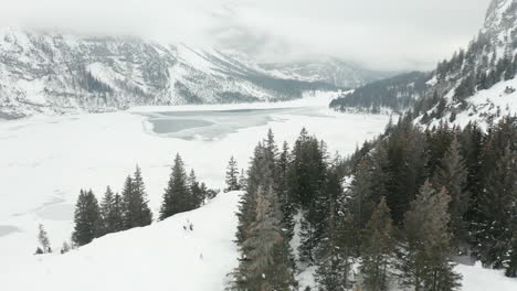 Drone-flying-over-tree-tops-at-the-edge-of-frozen-lake