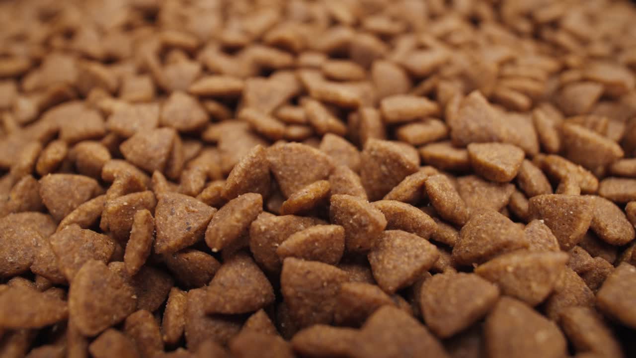 pellets de alimento seco y crujiente para mascotas