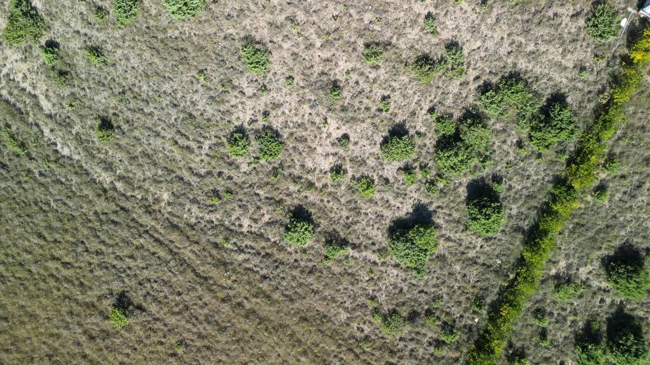 돌진 땅 에 있는 스파르 와 탄력적 인 식물 들 과 함께 달마티아 의 카르스트 지역 을 위 에서 직접 볼 수 있다