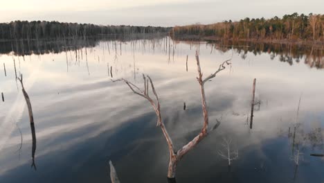 Reversing-over-a-lake-to-pass-just-over-a-bare-tree-that-looks-like-deer's-antlers