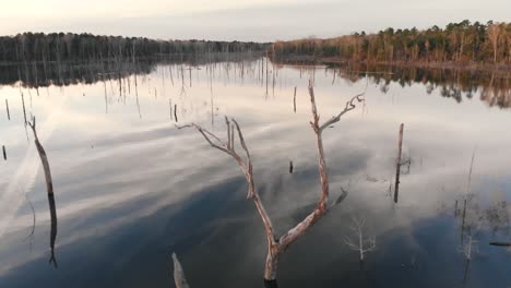 reversing over a lake to pass just over a bare tree that looks like deer's antlers
