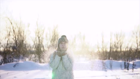 mujer soplando nieve en el paisaje de invierno