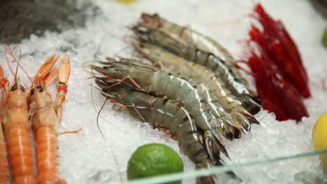 fresh shrimp and other seafood on ice