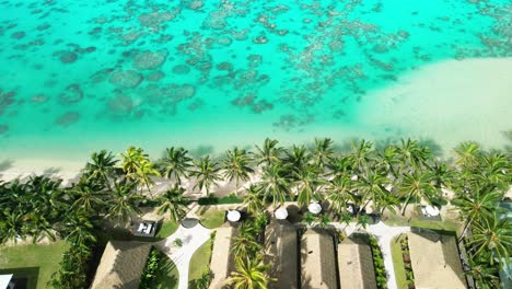 luxury beach front resort in rarotonga, cook islands with palm trees swaying along the lagoons white sands