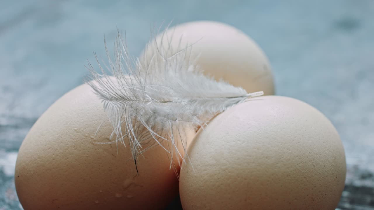 달은 신선하고, 집에서 만들어지고, 고기입니다.