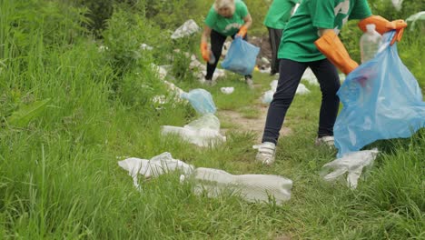 chica voluntaria arreglando bolsas de plástico, botellas basura en el bosque. reciclar. contaminación de la naturaleza de la tierra