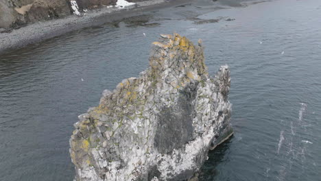 hvítserkur rock, iceland