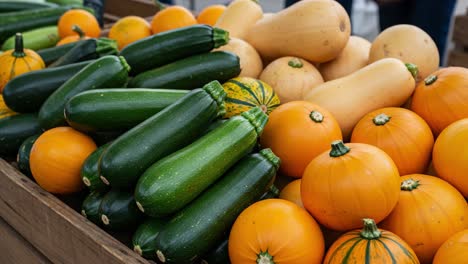 a colorful display of fresh vegetables and gourds in a market, featuring vibrant green zucchinis, round orange pumpkins, and creamy butternut squashes at a local produce stall