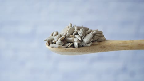 sunflower seeds on wooden spoon