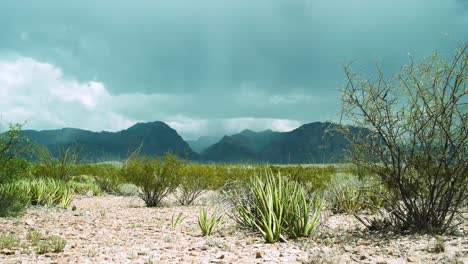 big bend national park in fast speed. dark clouds loom over desert mountains, rain pours steadily, and cacti sway in the wind.