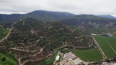 Vista-Aérea-Sobre-Campos-Y-Plantaciones-En-Pomaire,-Chile---Disparo-De-Drones