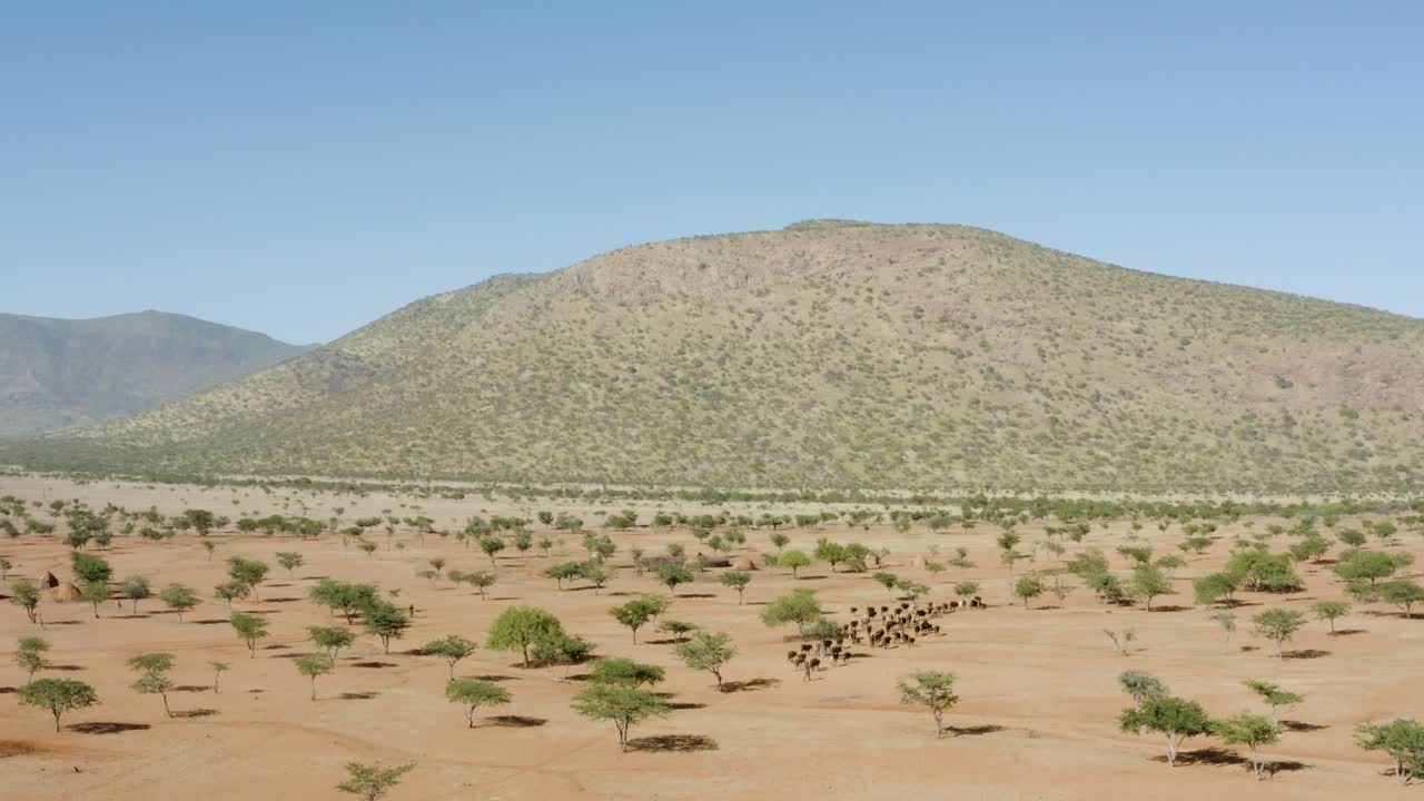 Arid Landscape with Scattered Trees, Distant Mountains, and a Small Community