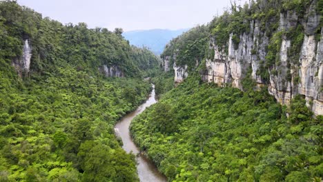 asombrosa imagen aérea del río pororari, parque nacional paparoa, nueva zelanda