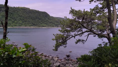 view of a calm ocean between rocks and trees with lush mountains on the background on the jogasaki coast in shizuoka, japan