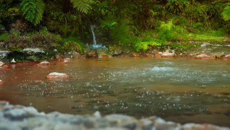 close up shot of natural geothermal volcanic hot springs surrounded by green lush vegetation