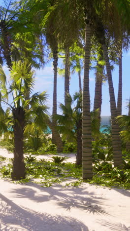 tropical beach with palm trees