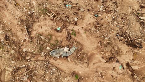 construction site debris and waste