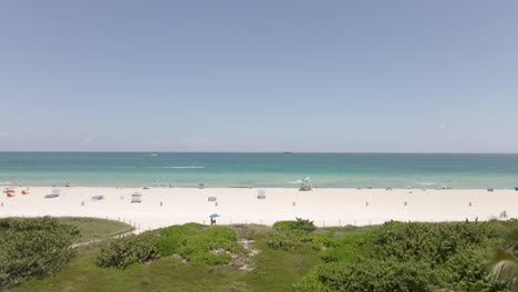 aerial ascends palm tree to reveal sandy beach and teal ocean beyond