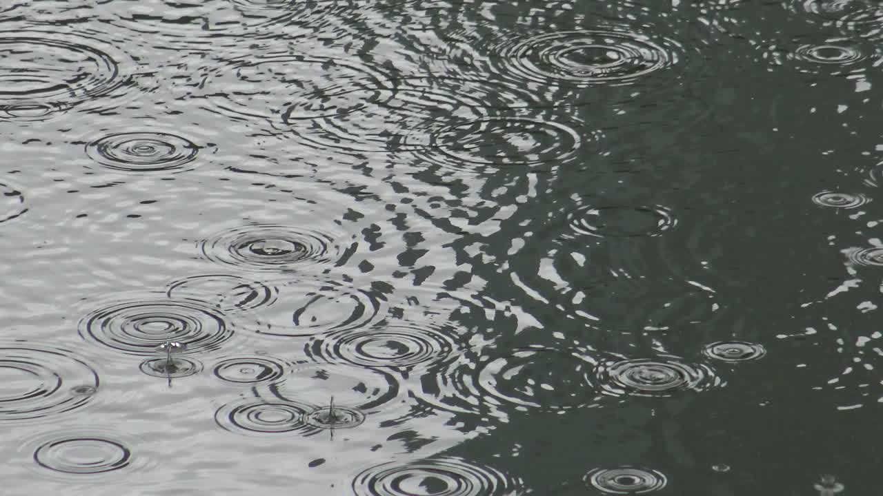호수 위에 떨어지는 4k의 방울 물