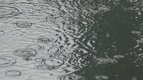 4k falling rain water on the lake