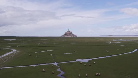 Mont-Saint-Michel-with-flock-of-sheep-grazing-during-low-tide,-aerial