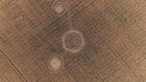 intricate crop circles in a wheat field