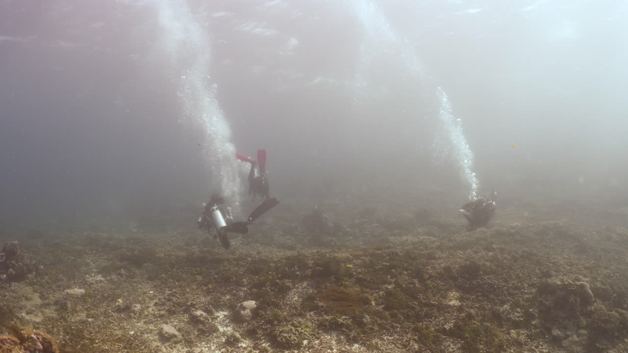 Scuba divers drifting over the bottom of the ocean shooting up a SMB in 4k