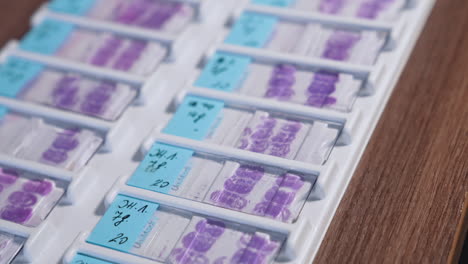 microscope slides in a tray