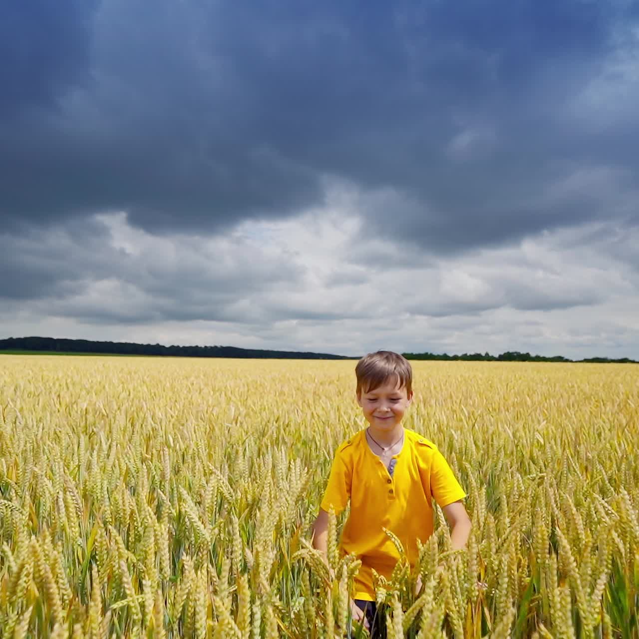 Cheerful boy in yellow field. Happy child hiding in wheat field against cloudy sky in summer. Kid playing outdoors in agricultural land.