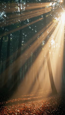 la luz del sol filtrándose a través de un bosque de niebla