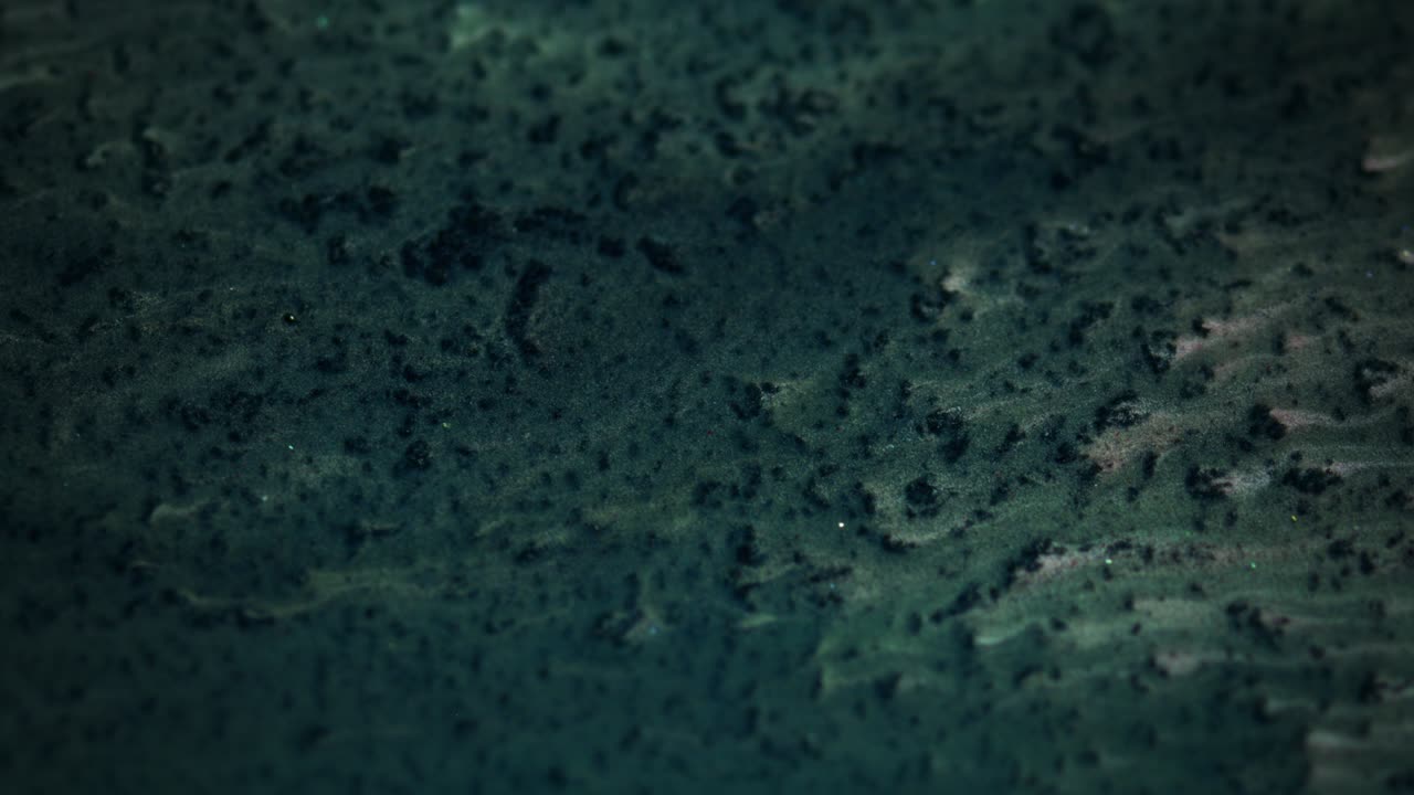 액체 예술: 액체가 색을 바꾸는 페인트로 흐른다.