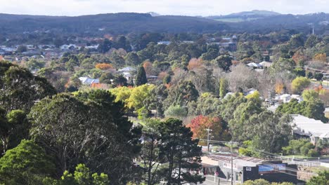 panoramic view of trees and buildings in ballarat