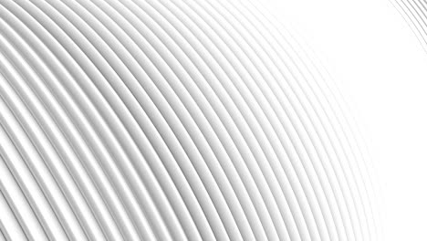 abstract pattern of circle shape with the effect of move. white clean rings animation.