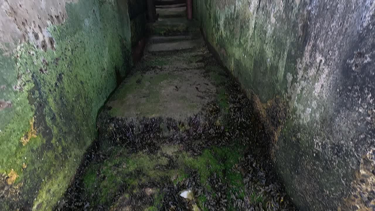 Journey through a mossy, narrow stone passage