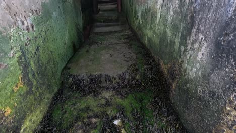 journey through a mossy, narrow stone passage