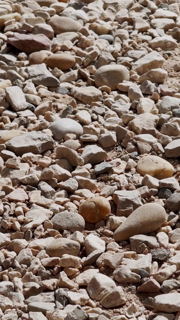 Primo piano di pietre di ghiaia chiare e terreno polveroso, che mostrano una texture rocciosa ruvida per paesaggistica, costruzione o uso come sfondo naturale.