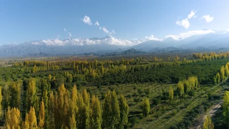 Vista-Aérea-De-Plantaciones-En-Un-Valle,-En-Otoño-Al-Atardecer-01