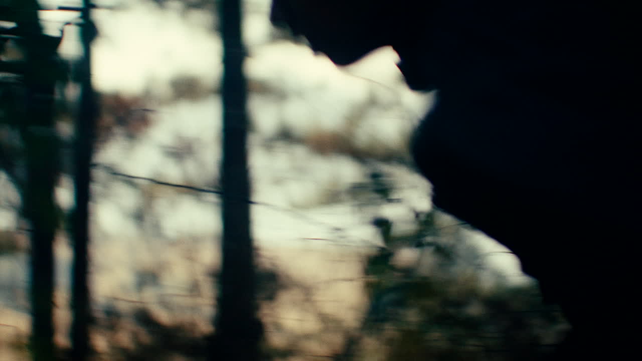 Silhouette of Person Running Through a Forest