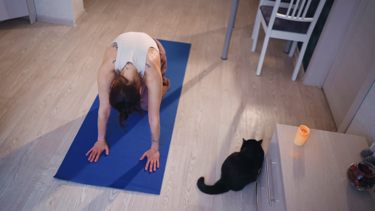 Relaxation Activities Performed, Evening Calming Routine Detailed, Peaceful Evening Selfcare With Gentle Movements, Serene Nighttime Selfsoothing Including Gentle Stretches And Pet Companionship