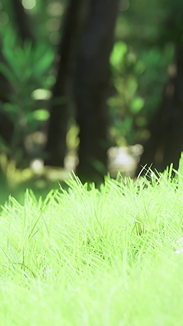 Bright green grass sways gently in the sunlight on a serene summer afternoon