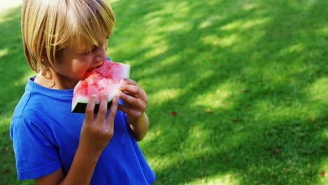 Junge-Isst-Wassermelone-Im-Park-4k