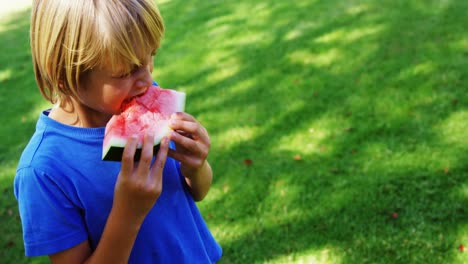 Niño-Comiendo-Sandía-En-El-Parque-4k