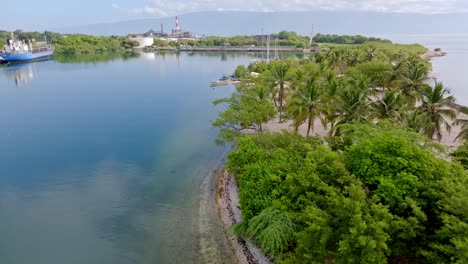 árboles de manglar en una bahía con barcos en el cayo, república dominicana, aérea