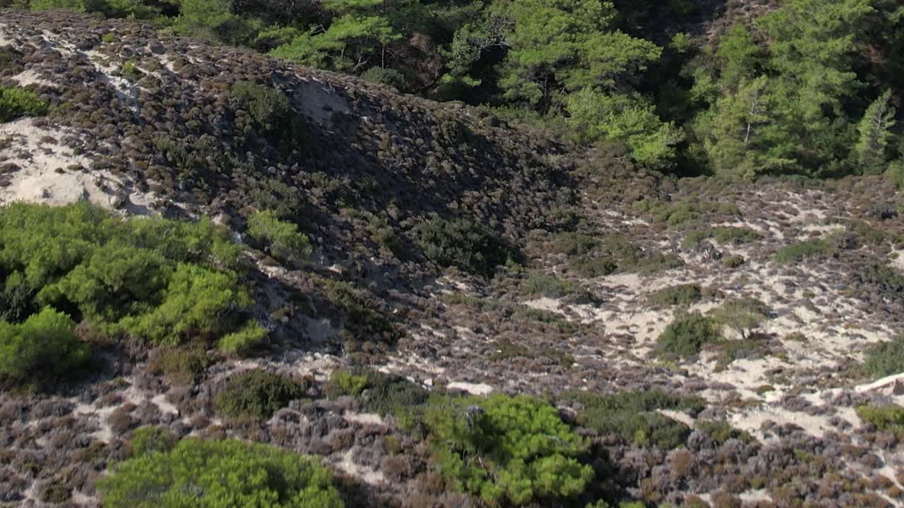 Lush green landscape viewed from above in Greece