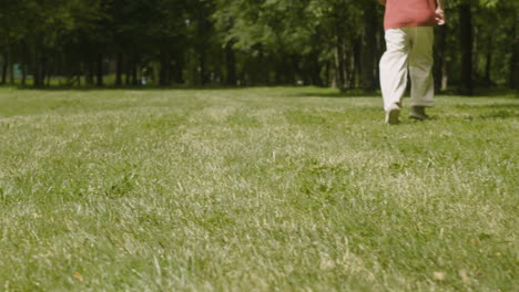 people in a park