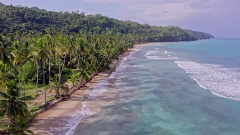 perfect caribbean tropical beach with palms and turquoise ocean