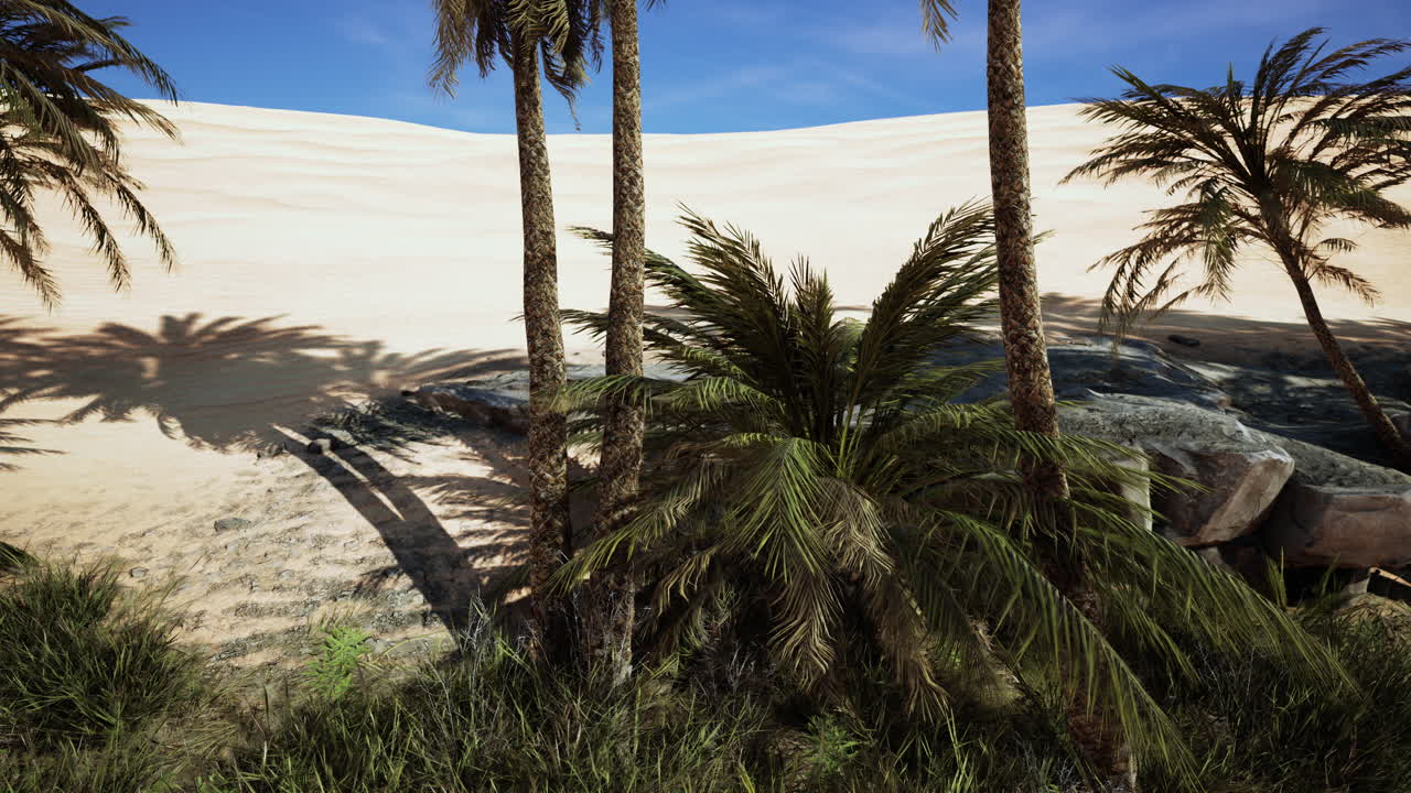 사막 의 평온 한 오아시스:  나무 와 모래 언덕